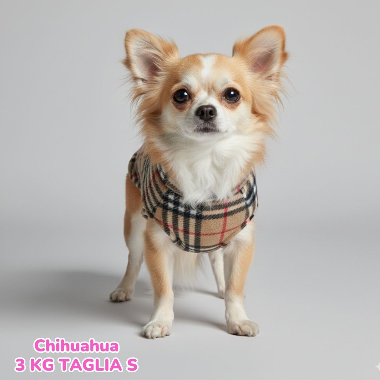 Pile Tartan Beige