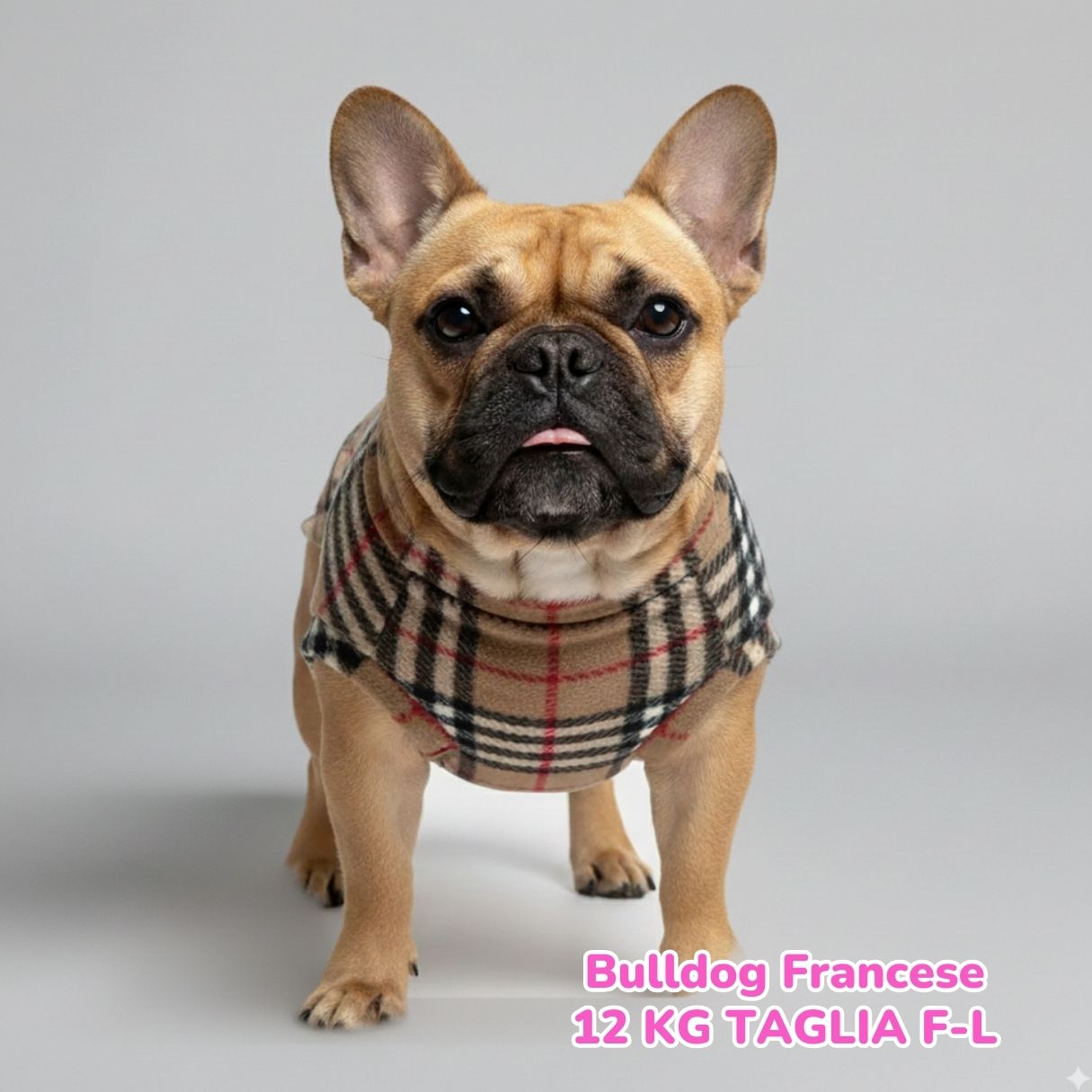 Pile Tartan Beige