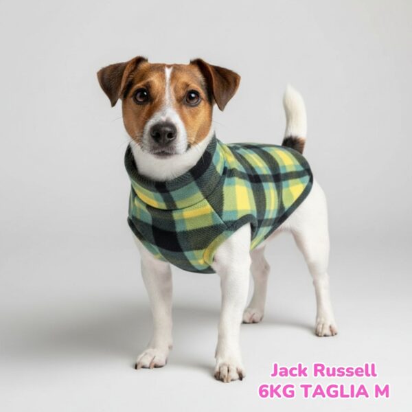 Pile Tartan Verde e Giallo BS S