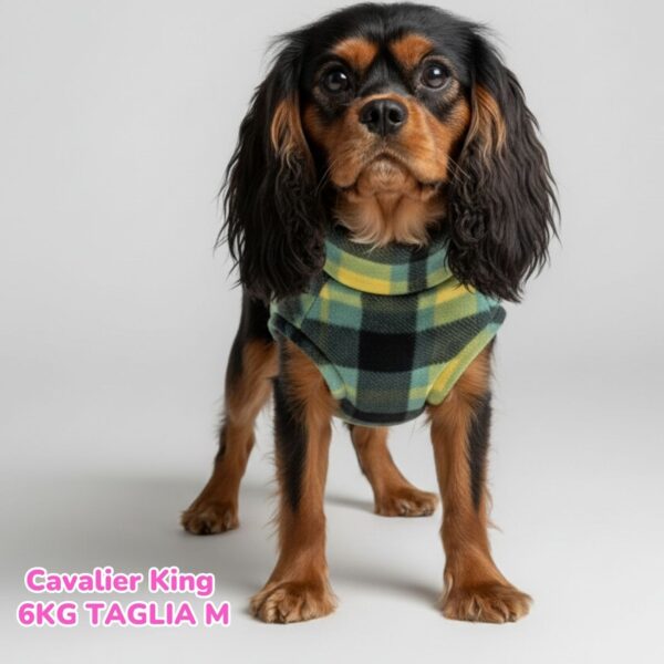 Pile Tartan Verde e Giallo BS S