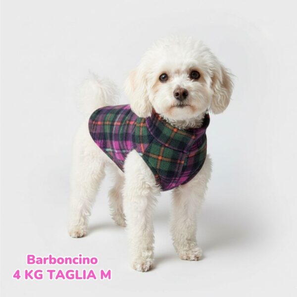 Pile Tartan Magenta Pile Tartan Magenta