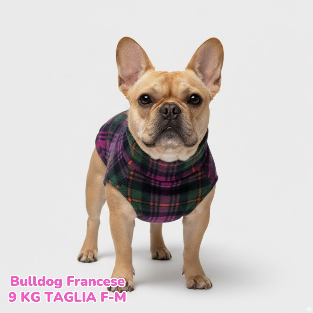 Pile Tartan Magenta