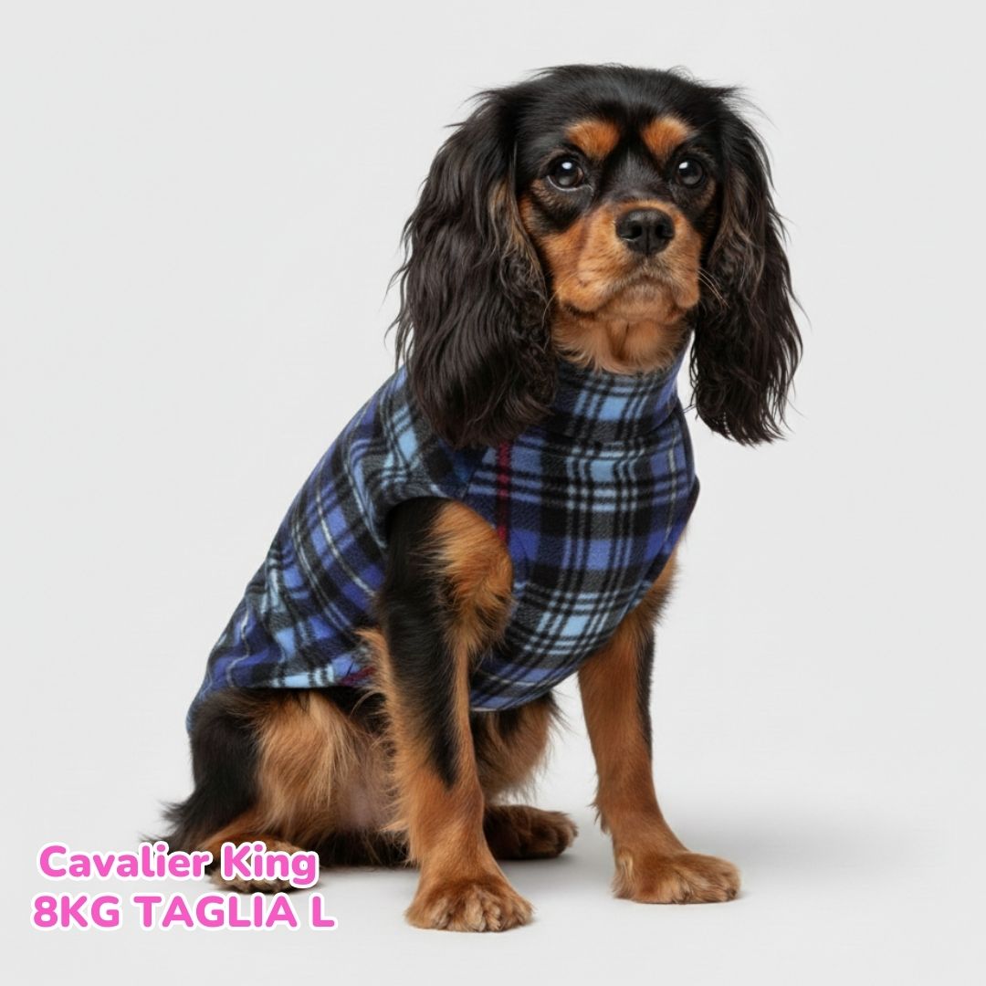 Pile Tartan Blue e Azzurro