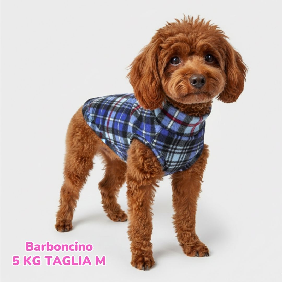 Pile Tartan Blue e Azzurro
