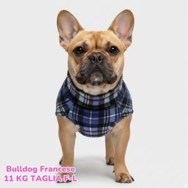 Pile Tartan Blue e Azzurro Pile Tartan Blue e Azzurro