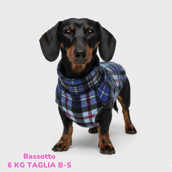 dorotea – 2025-09-19T160947.579