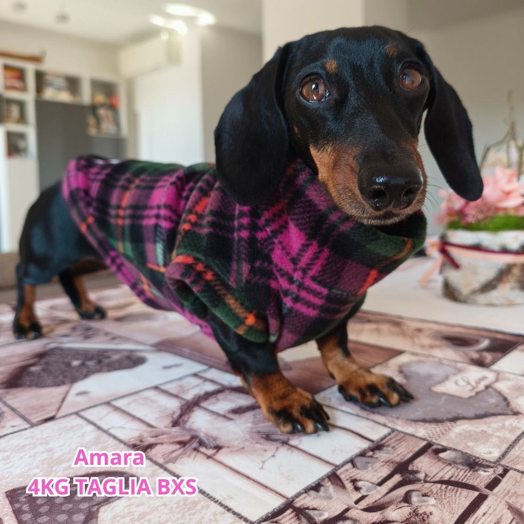 Pile Tartan Magenta