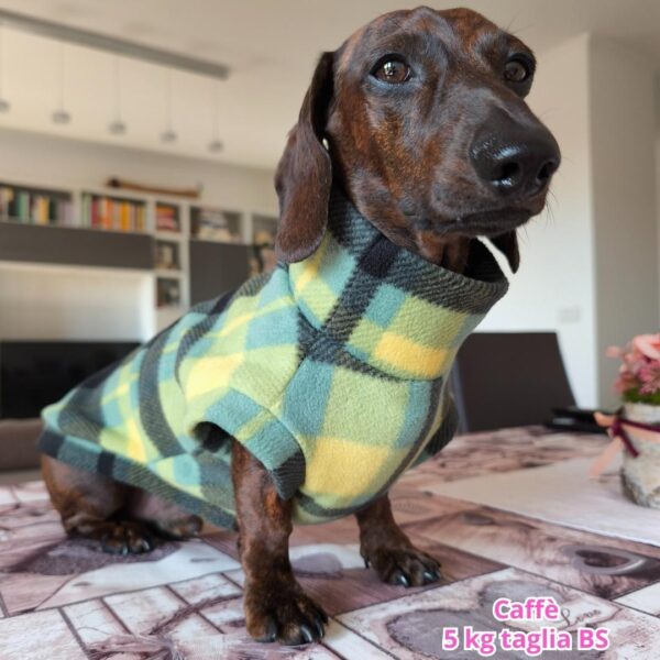 pile tartan