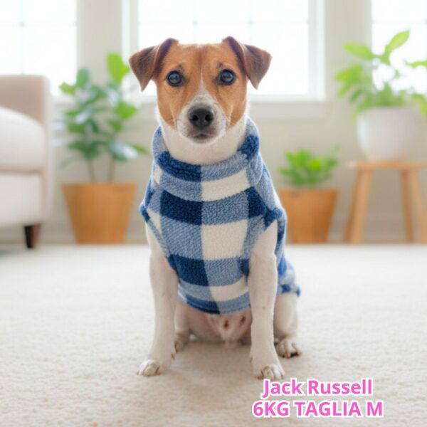 Teddy a Quadri - Blu