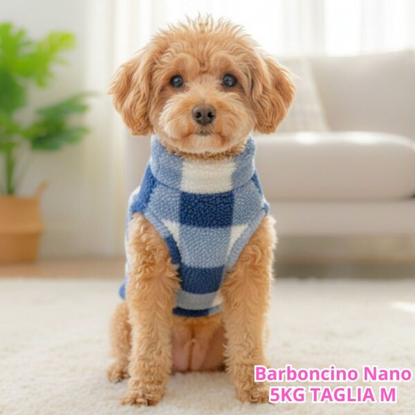 Teddy a Quadri - Blu