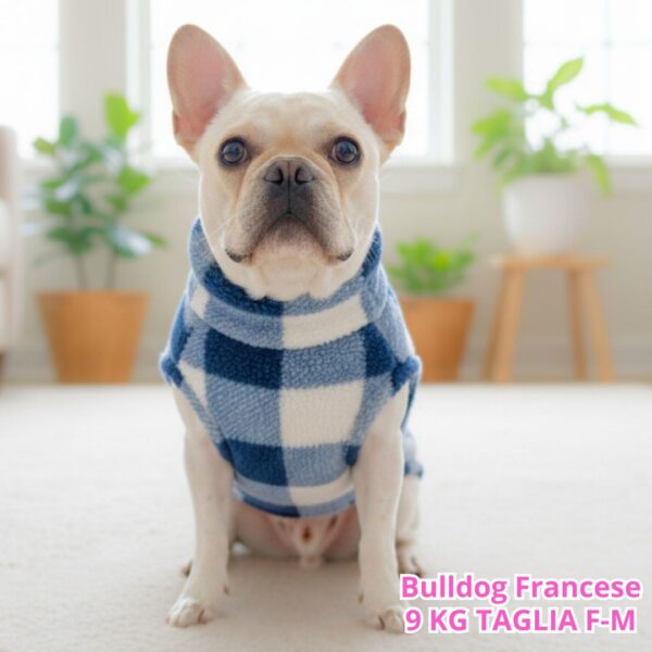 Teddy a Quadri - Blu