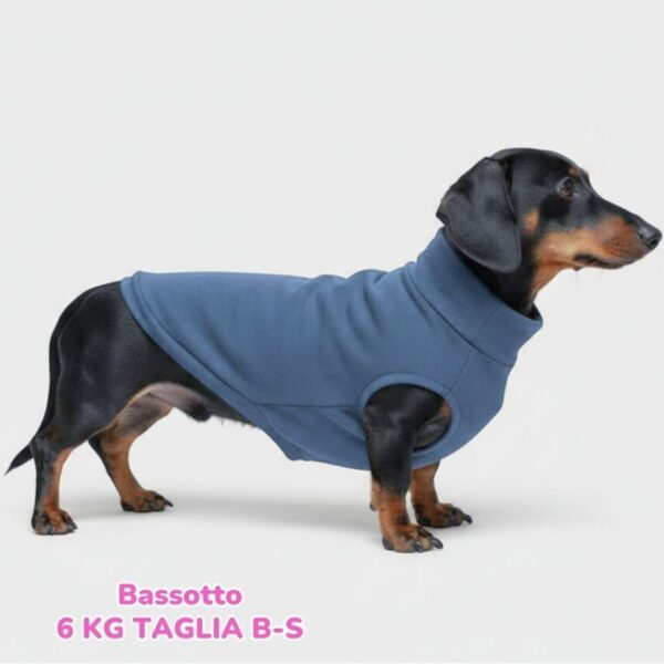 Felpa Invernale Garzata Blu Felpa Invernale Garzata Blu