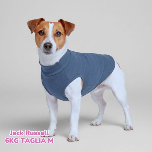 Felpa Invernale Garzata Blu Felpa Invernale Garzata Blu