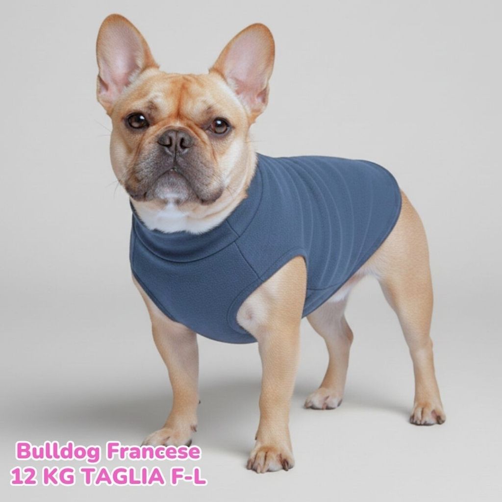 Felpa Invernale Garzata Blu