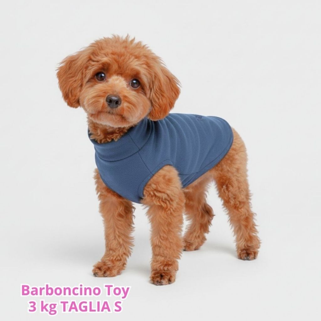 Felpa Invernale Garzata Blu