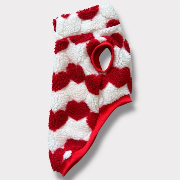 Teddy Cuori Rosso