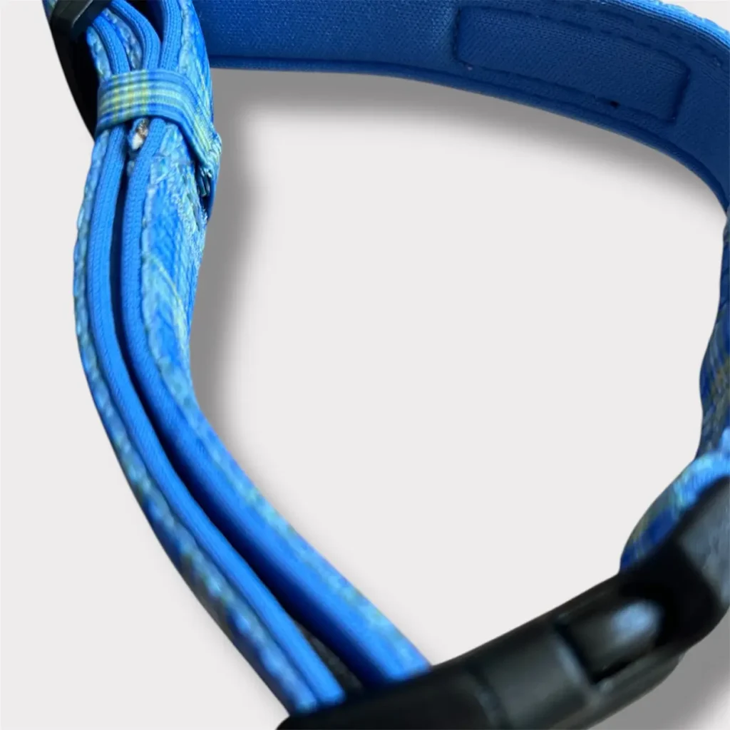 collare blu