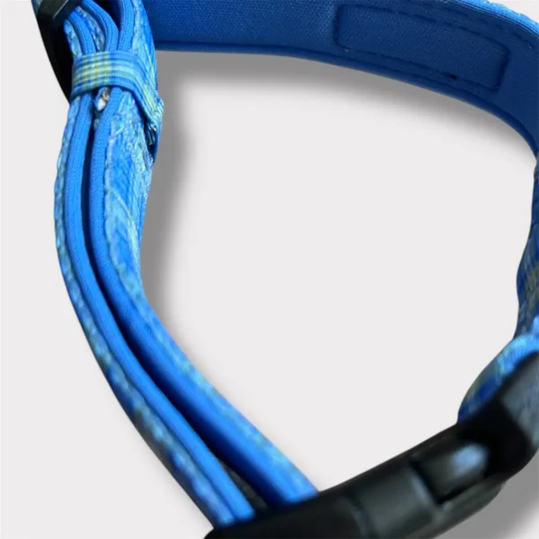 collare blu