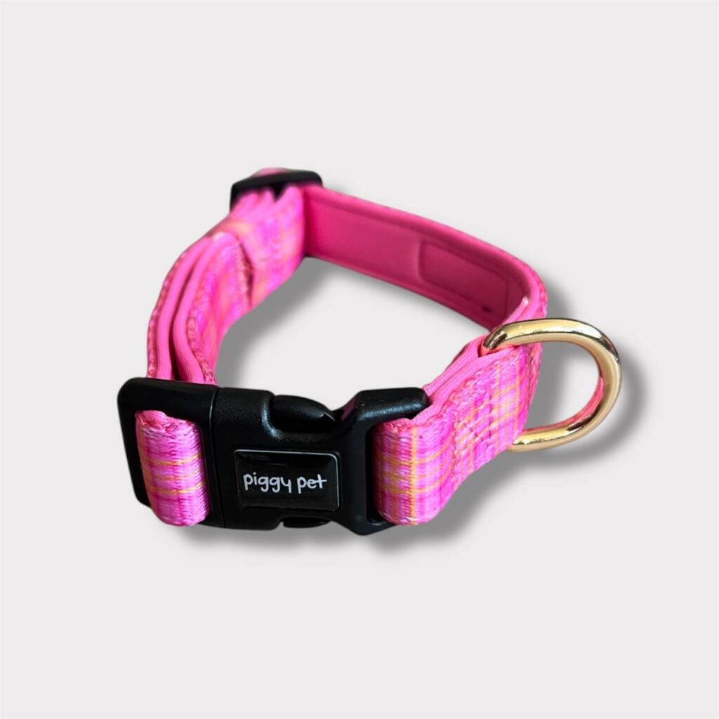 Collare Tartan Royal - Pink