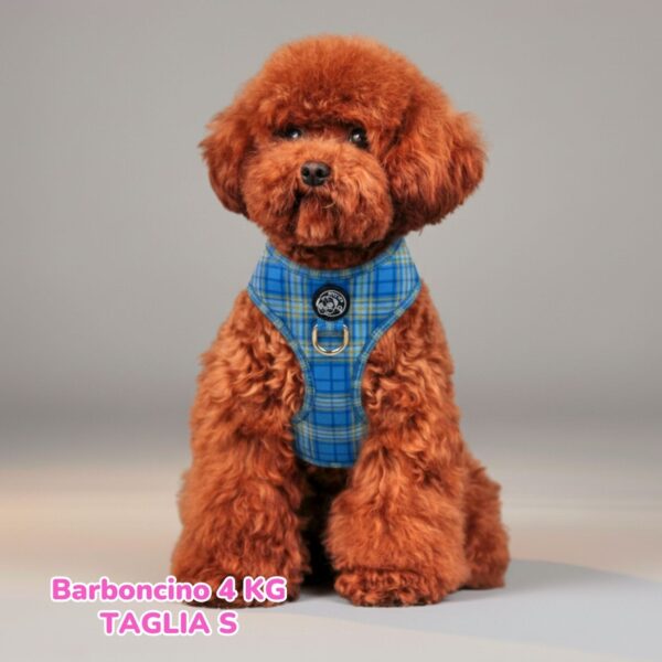 Pettorina ad H Morbida Tartan Royal - Blue