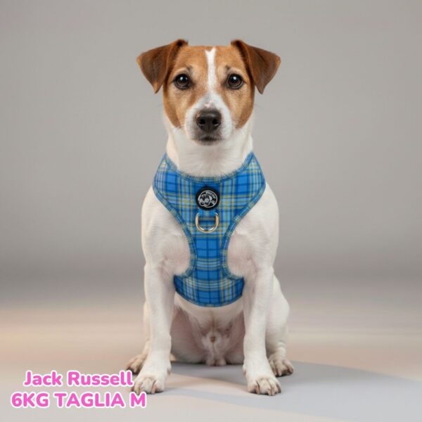 Pettorina ad H Morbida Tartan Royal - Blue