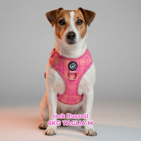 Pettorina ad H Morbida Tartan Royal - Pink