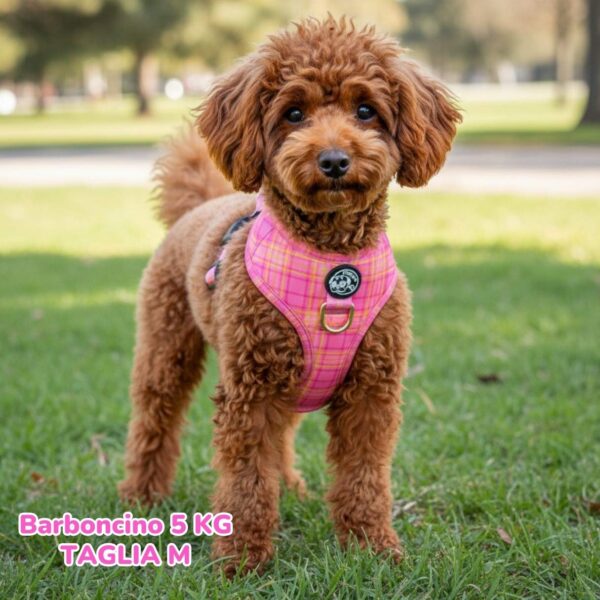 Pettorina ad H Morbida Tartan Royal - Pink