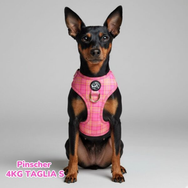 Pettorina ad H Morbida Tartan Royal - Pink