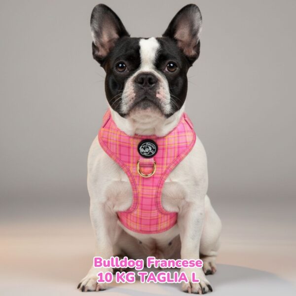 Pettorina ad H Morbida Tartan Royal - Pink