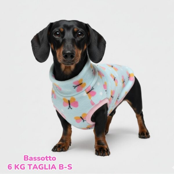 dorotea – 2025-09-19T175346.645