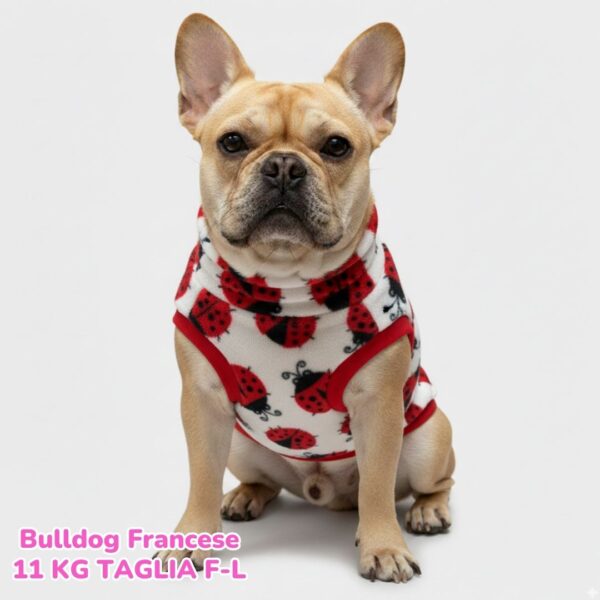 Pile Pelliccia Coccinelle S