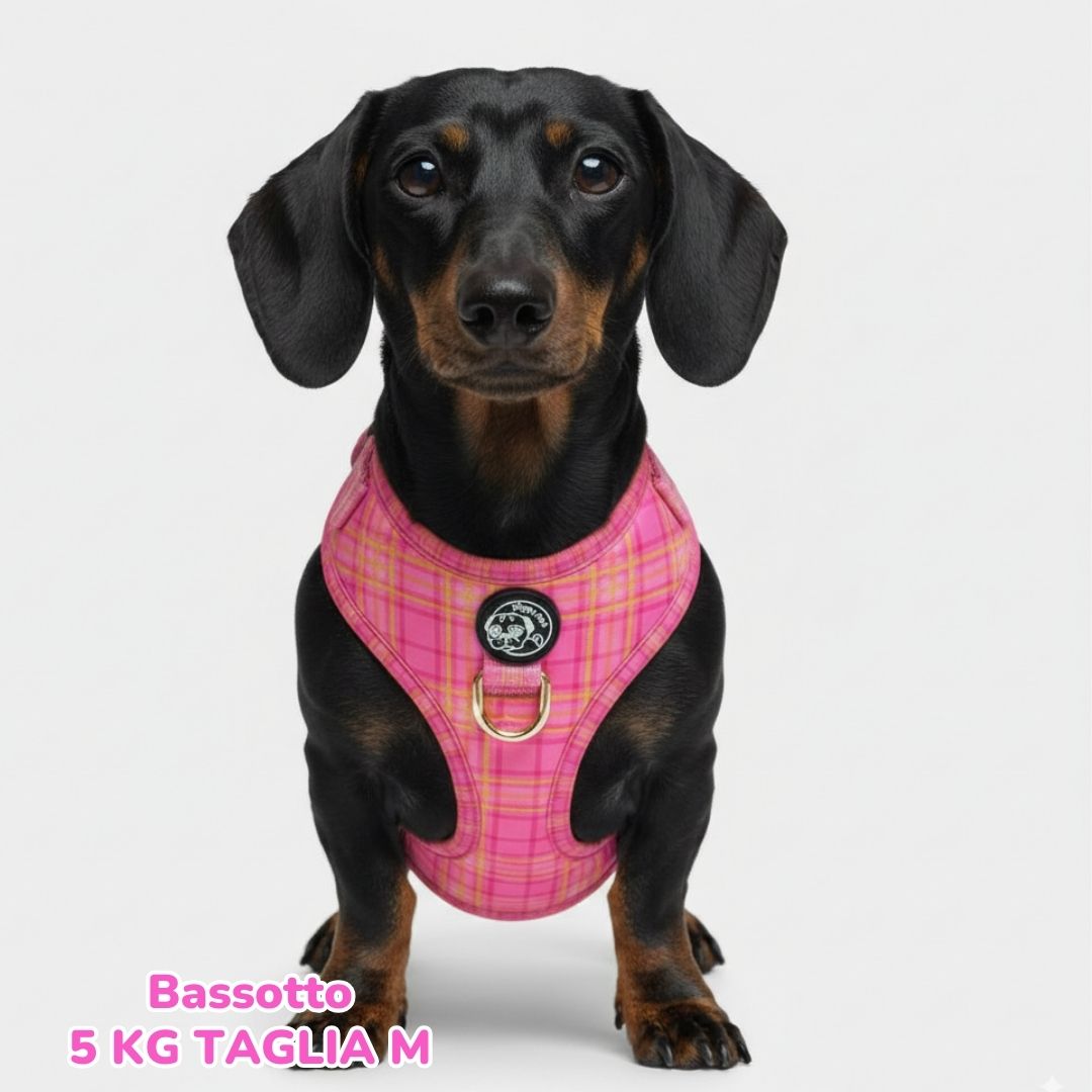 Pettorina ad H Morbida Tartan Royal - Pink