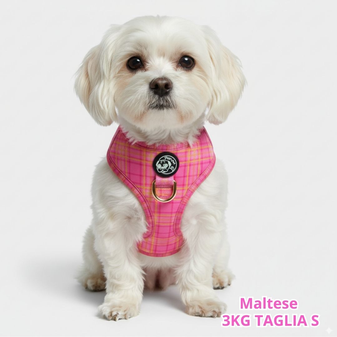 Pettorina ad H Morbida Tartan Royal - Pink