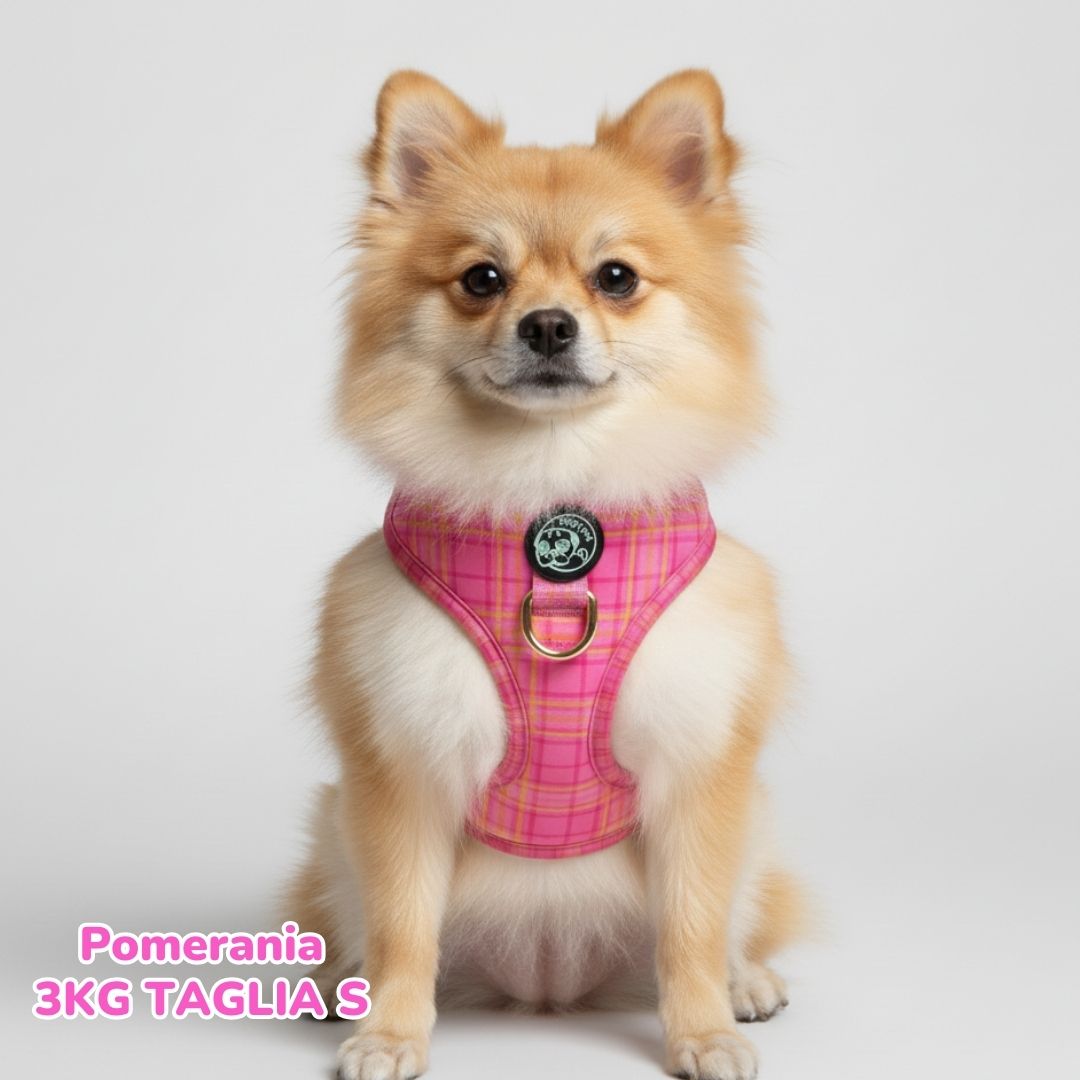 Set Tartan Royal - Pink