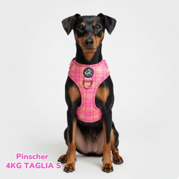 Set Tartan Royal - Pink