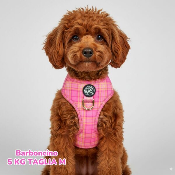 Set Tartan Royal - Pink