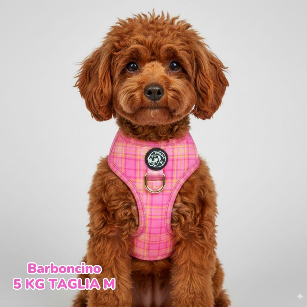 Pettorina ad H Morbida Tartan Royal - Pink