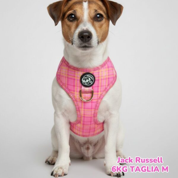 Set Tartan Royal - Pink