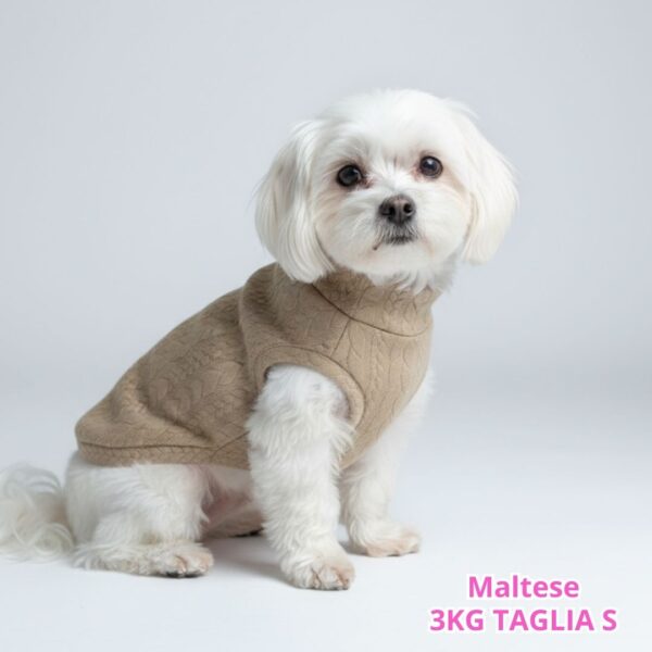 Maglione a Coste Beige BS E BM