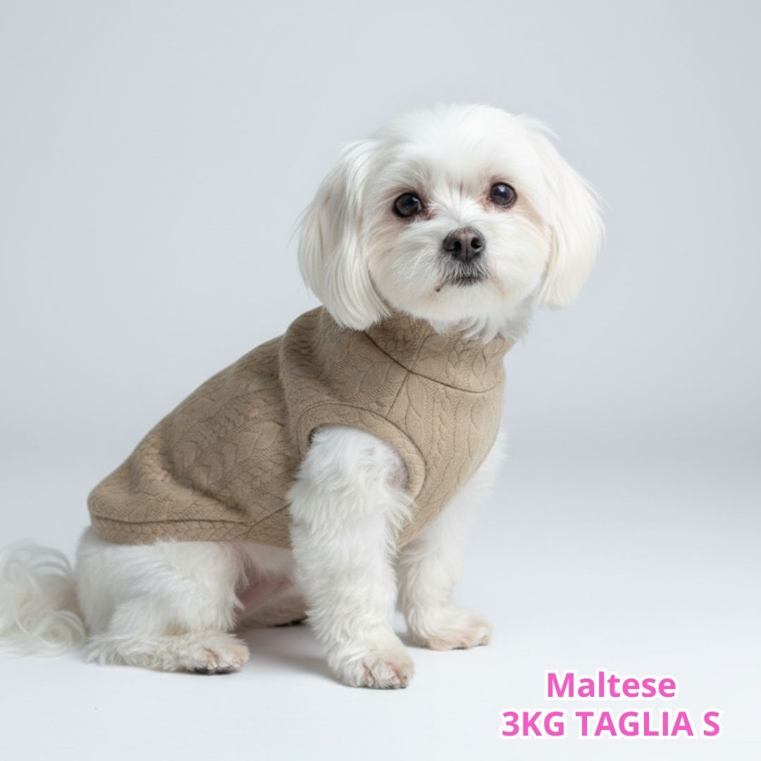 Maglione a Coste Beige