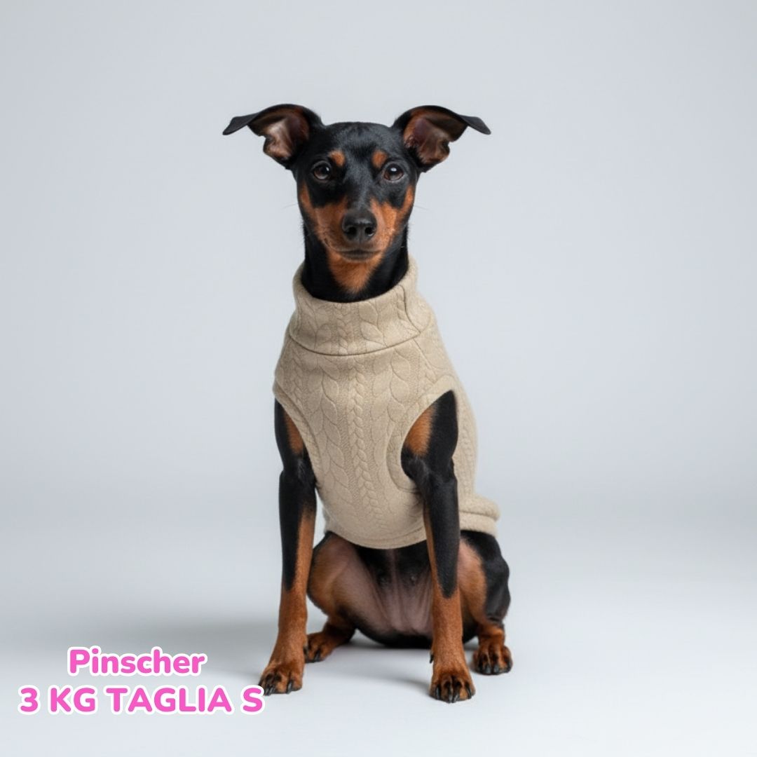 Maglione a Coste Beige