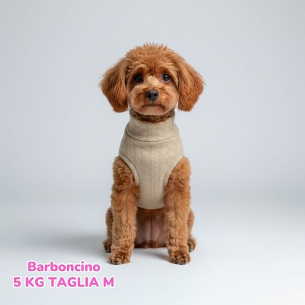 Maglione a Coste Beige BS E BM