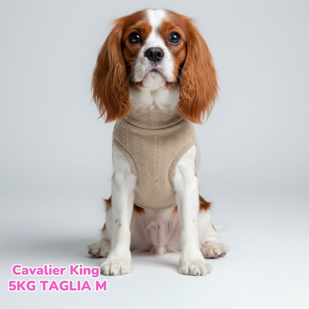 Maglione a Coste Beige