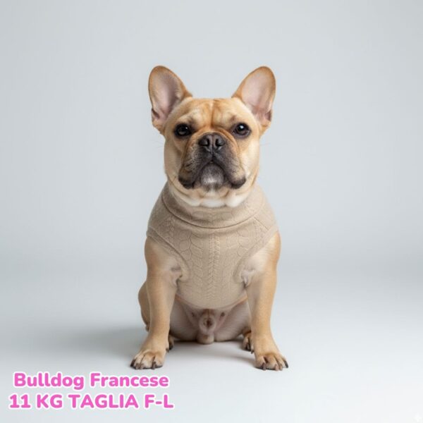 Maglione a Coste Beige BS E BM