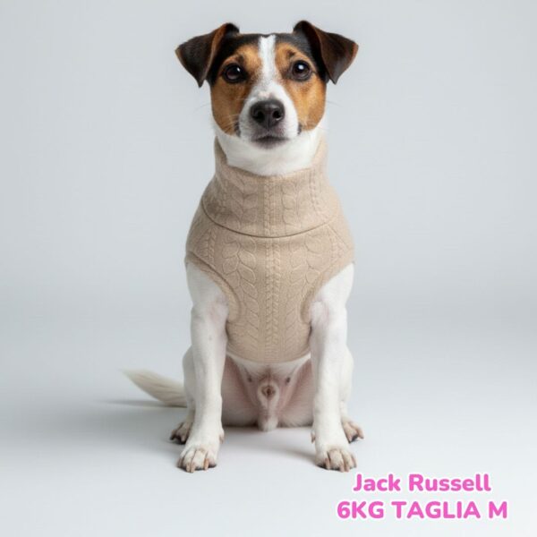 Maglione a Coste Beige BS E BM