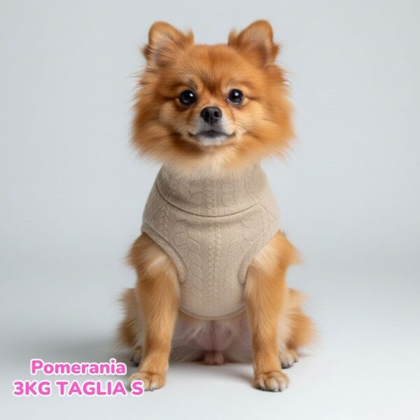 Maglione a Coste Beige BS E BM