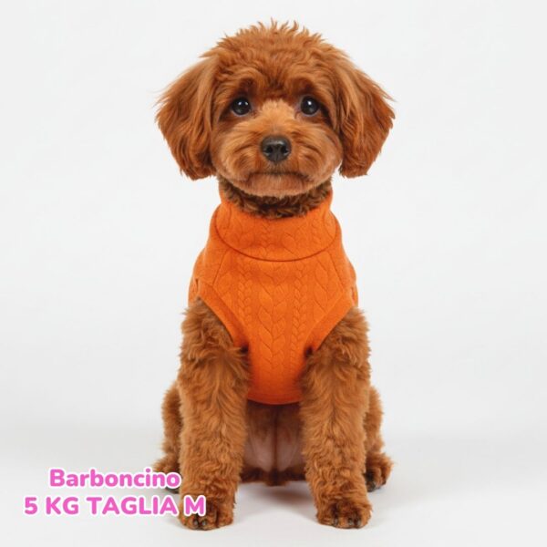 Maglione a Coste Arancione BS