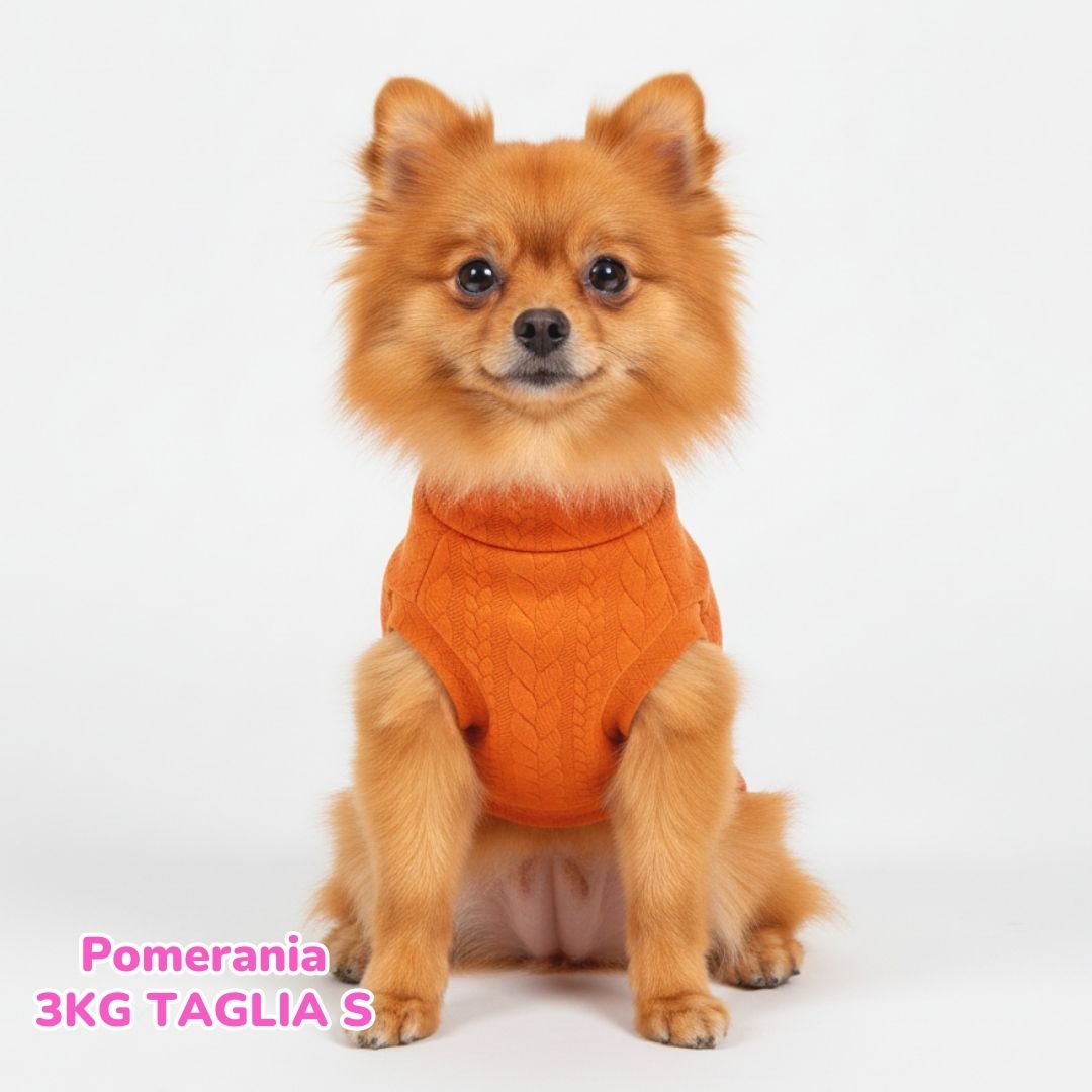 Maglione a Coste Arancione