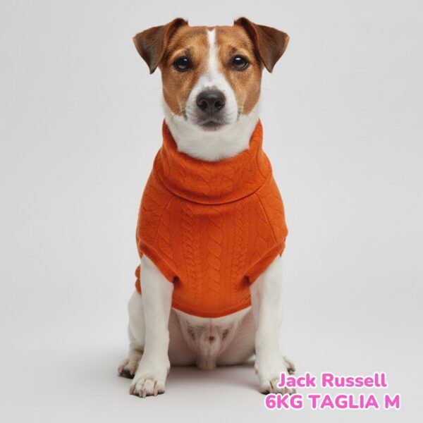 Maglione a Coste Arancione BS