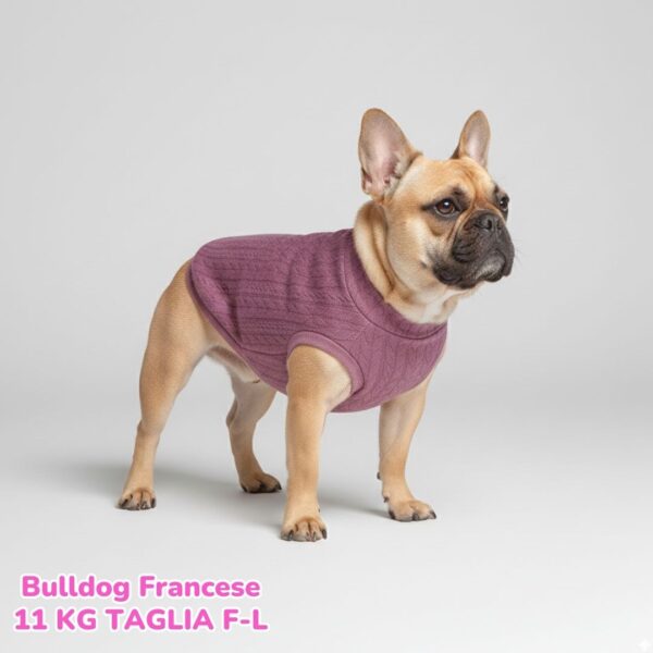 Maglione a Coste Lilla BL